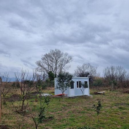 Camping & Biofarm Gjegji Hotel Lezhe Exterior photo